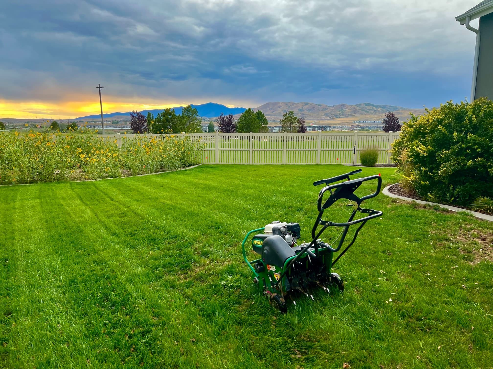 Professional Lawn Aeration Service